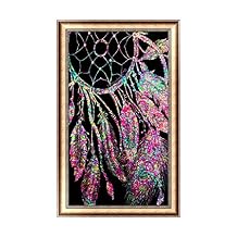 Amazon.ca: diamond dotz