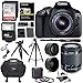 Canon EOS Rebel T6 Digital SLR Camera Kit with EF-S 18-55mm f/3.5-5.6 IS II Lens + Polaroid .43x Super Wide Angle & 2.2X HD Telephoto Lens + 50