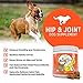 Glucosamine Chondroitin Joint Supplement for Dogs - Advanced Natural Dog Arthritis and Pain Relief - Hip and Joint Health for Senior Dogs - MSM, Glucosamine HCL, All Breeds & Sizes - 120 Soft Chews