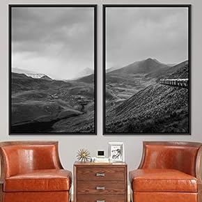 signwin 2 Piece Framed Canvas Wall Art Black...