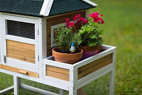 Prevue Pet Chicken Coop - Image 5