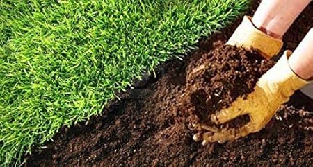 Creative Farmer Organic Vermi Compost - Tree & Shrub Fertilizers