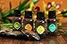Essential Oils Aromatherapy Gift Set with Aroma Car Diffuser by Living Beatitudes ● 100% Pure Therapeutic Grade 4x10ml (Eucalyptus, Lemongrass, Orange, Pine)