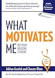 What Motivates Me: Put Your Passions to Work