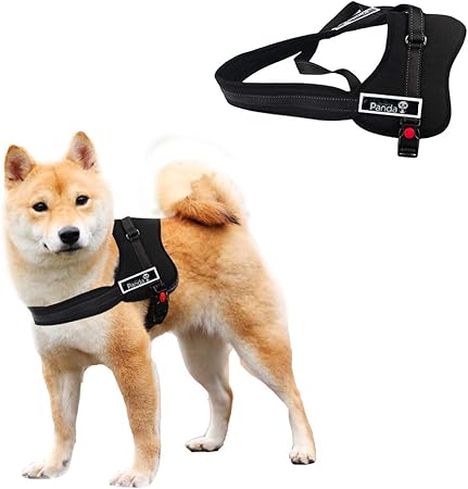 pets at home stop pull harness