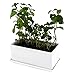 Succulent and Herb Planter Pot with Removable Tray, Window Box In A Modern Ceramic Design