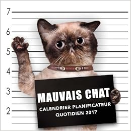 Amazoncom Mauvais Chat Calendrier Planificateur Quotidien - 