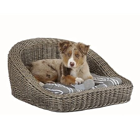 Hundekorb Rattan in grau, mit Kisseneinlage