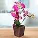 MyGift Decorative Synthetic Purple Silk Artificial Phalaenopsis Moth Orchid Flower w/Plant Stand