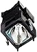 100% Oem Equivalent Xl-5100 Projector / Tv Lamp With Housing For Sony Kds-R50Xbr1 / Kds-R60Xbr1
