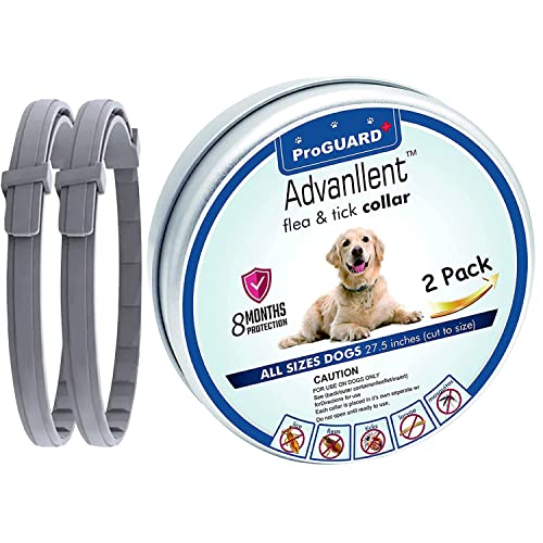 Flea Collar for Dogs, Flea and Tick Prevention for Dogs, 1 Size Fits All, 27 Inch