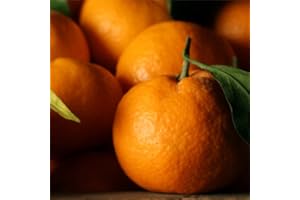KEJORA Satsuma Mandarins - 2.5 lb