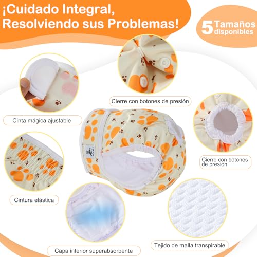 UFO PET Washable Female Dog Diapers S (3 Pieces), Reusable and Highly Absorbent Female Dog Diapers, Female Dog Diaper with Adjustable Buttons
