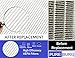 PUREBURG 1-Pack Replacement HEPA Vacuum Air Filter Compatible with Electrolux Guardian LUX Aerus Epic 8000 9000 C134A C134B C134C C134D C134E C134F C154A C154B C154C C154D C154E C154F Part 47404