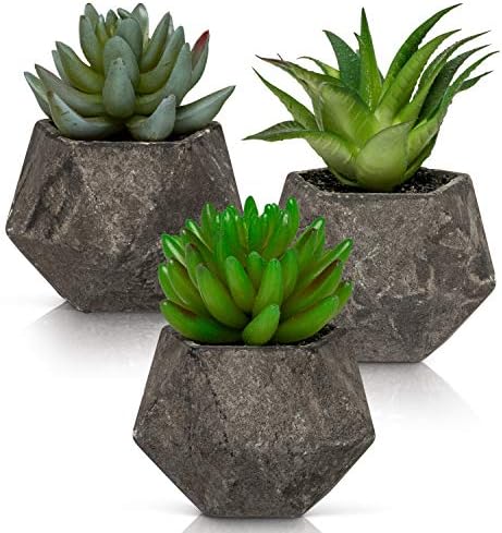Ashbrook Outdoors Artificial Succulent Plants with Pots (Set of 3) | 3 Faux Plants in Potted Gray Succulent Planters | Modern Home Décor Accents for The Office, Desk, Living Room, and More
