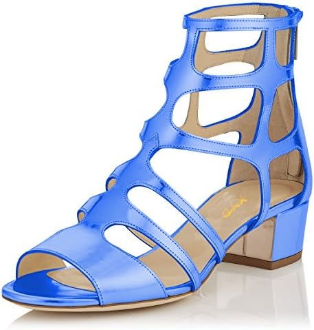 XYD Women Open Toe Gladiator Hollow Out Sandals Low Block Heel Back Zipper Cut Out Shoes Size 8.5 Blue