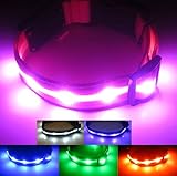 Blazin' Bison USB Rechargeable Safety LED Dog Collar with Waterproof Flashing Light, Small, Pink