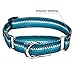 Dazzber Martingale Collars for Dogs, Turquoise Green, Neck 17 Inch -25 Inch, Heavy Duty No Pull No Escape Dog Collar for Medium to Large Dogsthumb 2