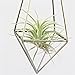 NCYP Rustic Style Freestanding Hanging Metal Tillandsia Air Plant Rack Bronze Color 10 inches Height Quadrilateral Pyramid Shape Geometric No Plants