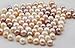 Twin Pearls Freshwater Cultured Double Love Wish Pearl Oyster with Round Twin Pearl Inside 10 Colors 6.5-7.5mm (10 Oysters & 20 Pearls)
