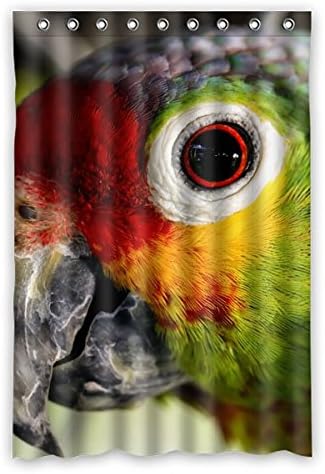 120 cm x 183 cm (48 "x 72") Bathroom Shower Curtain, Beautiful Parrot Custom-designed High-definition Waterproof Mildew Protection, Family Bathroom Shower Curtain