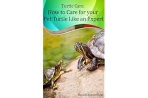 Turtle Care: How to Care for Pet Turtles Like an Expert. (Aquarium and Turtle Mastery Book 5)