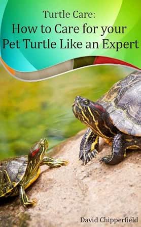 pet turtle care