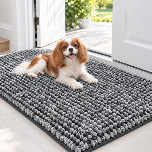 EHEYCIGA Chenille Dog Door Mat