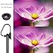 Vteyes Universal 3 in 1 Phone Camera Lens, Full Screen No Dark Circle, 198° Fisheye Lens + 150° Wide Angle Lens + 10X Macro Lens for iphone Samsung Most Android Smart Phones, Both front & Back Cameras