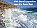 Magnesium Natural Deodorant | ROLL ON | VANILLA COCONUT | The Fitness Deodorant | Aluminum FREE | Non GMO | Paraben Free | Cruelty Free | 100% Natural Scent | Effective | Non-Toxic | 3 oz.