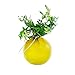 Achla Designs SV-03Y Hanging Glass Flower Vase, Yellow