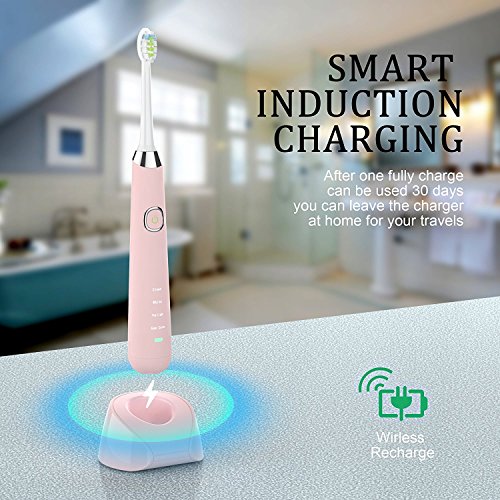 Sonic Electric Toothbrush, Rechargeable Toothbrush, Adult Electric Toothbrush with Holder and 2 Replacement Heads, (4 Modes with Automatic Timer, IPX7 Waterproof, Fast Charging), Pink