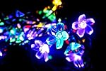 FAMILOVE Christmas Trees Halloween Day Blossom Flower Solar Powered 23ft 50 LED Waterproof Fairy Lighting for Garden Patio Wedding Party and Holiday Decorations(Multi-Color)
