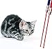 ifundo 4 Piece Laser Tease Cat Dog Toy, 2 in 1 Multi Function Flashlight and Red Light Pointer Funny Cat Chaser Toys Interactive LED Light,Scratching Training Tools Red Pot Exercise Chaser, Assorted Color