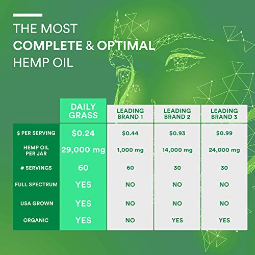 Flyby (2-Pack) Pure Hemp Oil Extract for Pain & Stress Relief - 29000mg of Organic Hemp Extract - Grown & Made in USA - 100% Natural Tincture Hemp Drops for Humans & Dogs - Helps Sleep, Skin & Hair