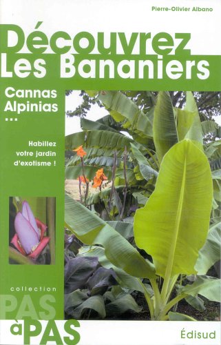 Découvrez les bananiers