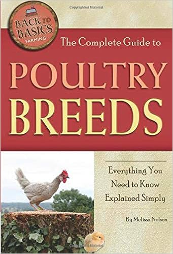 The Complete Guide to Poultry Breeds Everything You Need to Know Explained Simply (Back to Basics Farming) The Complete Guide to Poultry Breeds Everything You Need to Know Explained Simply (Back to Basics Farming)