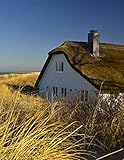 Notebook: House Thatched Cottage Dune Coast View 8.5