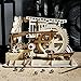 ROKR 3D Wooden Puzzle Mechanical Gears Set DIY Assembly Model Kits Wooden Craft Kits Brain Teaser Games Building Set Best Christmas Birthday Gift for Adults & Kids Age 14+(LG502-Cog Coaster)