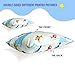 100% Cotton Cartoon Toddler Travel Pillowcase - Cuddle Collection for Boys Or Girl,for 13x18,12x16 Pillow,Double-Sided Different - Cars and Airplanes,Free Travel Package (2 Cars/Airplanes)