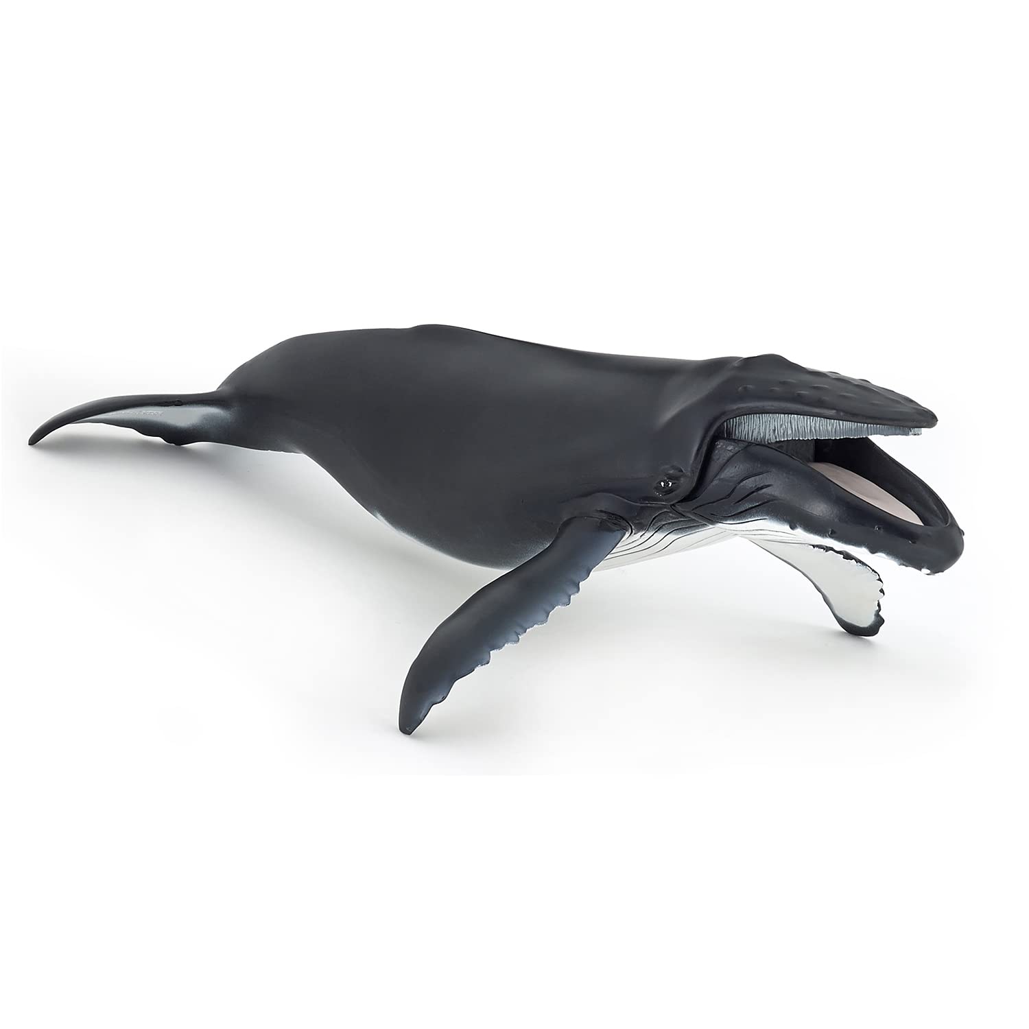 Papo - Realistic Humpback Whale Figure Toy for Kids - Ages 3+ - Marine Life Collection - Educational Play Marine Exploration - Gift Idea Toy for Girls and Boys - 29 Cm X 16.3 Cm X 12.8 Cm