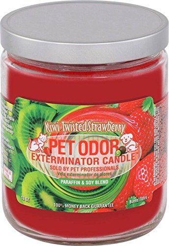 Specialty Pet Products Kiwi Twisted Strawberry Pet Odor Exterminator 13 Ounce Jar Candle