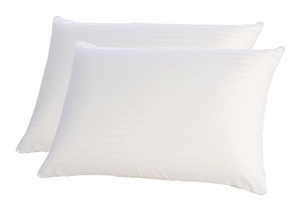 Buy Set Of 2 Two Bellissimo Hypoallergenic 100 Cotton Pillows