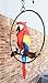Ebros Patio Home Garden Hanging Scarlet Macaw Parrot Perching on Branch in Metal Round Ring Figurine Sculpture Nature Lovers Tropical Bird Collectors Decor 13.5