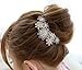 Hair Clip NYKKOLA Beautiful Jewelry Flowers Crystal Hair Clips - for Hair Clip Beauty Tools