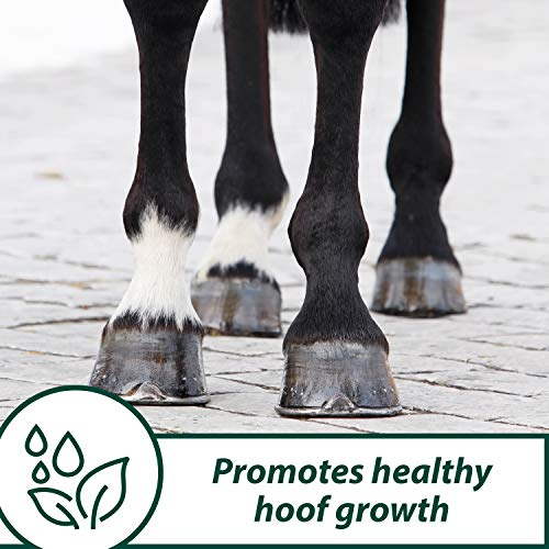 Horseshoer's Secret Hoof Supplement Concentrate, 11 Pound