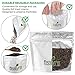 Tealyra - Ripe Pu'erh Tea - 5 Years Aged Loose Leaf - Caffeine Level High - 100% Naturally Processed - Aged Black Tea Pu Er - 113g (4-ounce)