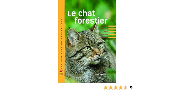 Le Chat Forestier Les Sentiers Du Naturaliste French Edition Raydelet Patrice Amazon Com Books