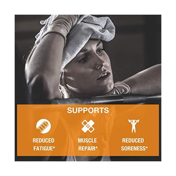 Honey Badger BCAA Amino Acids Electrolytes Powder, Keto, Vegan, Sugar