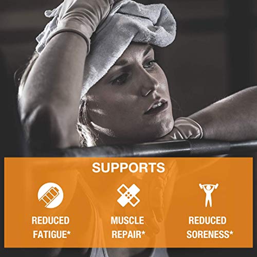 Honey Badger BCAA Amino Acids Electrolytes Powder, Keto, Vegan, Sugar